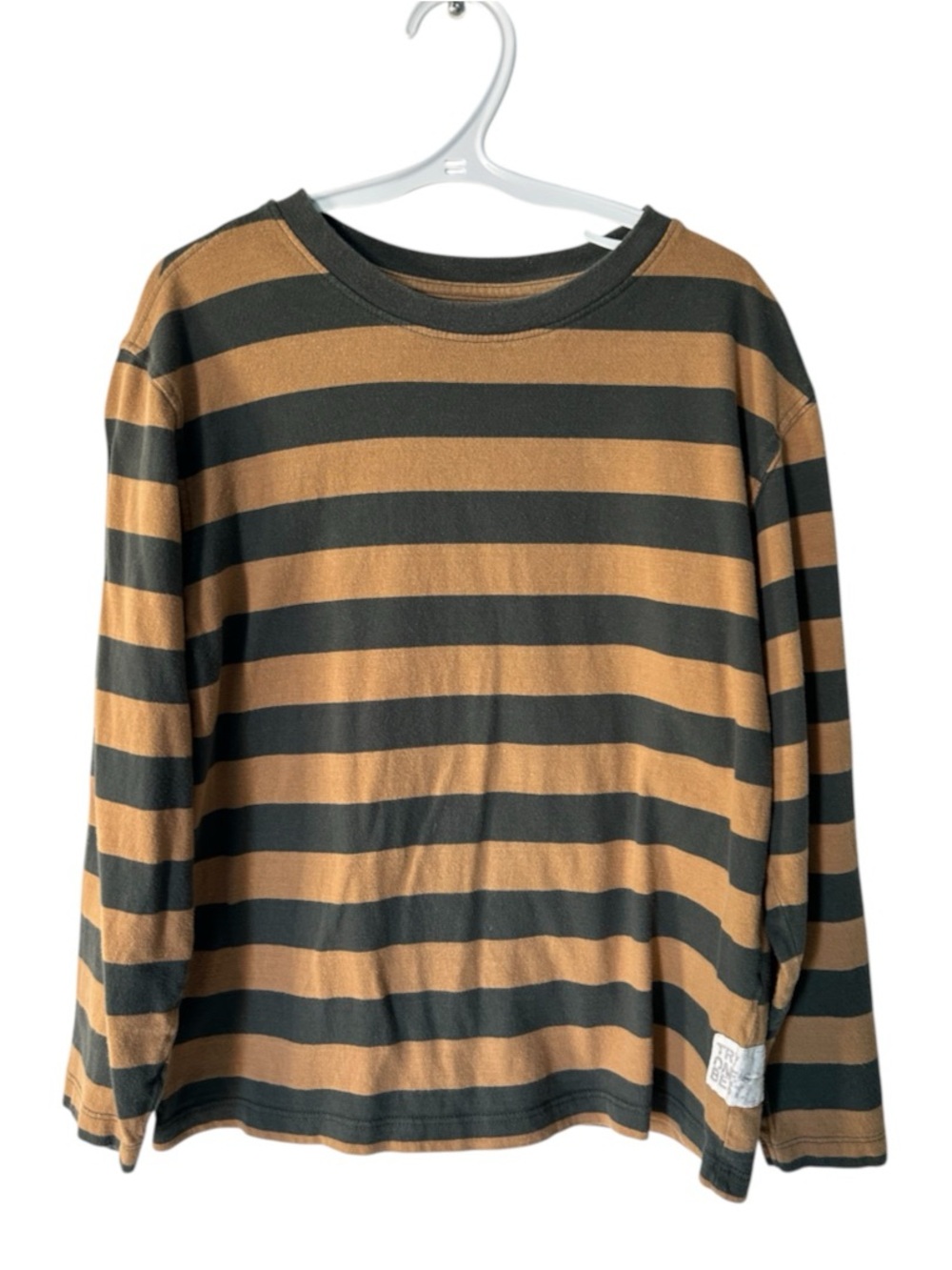 ZARA Striped Long-Sleeve in Green and Tan